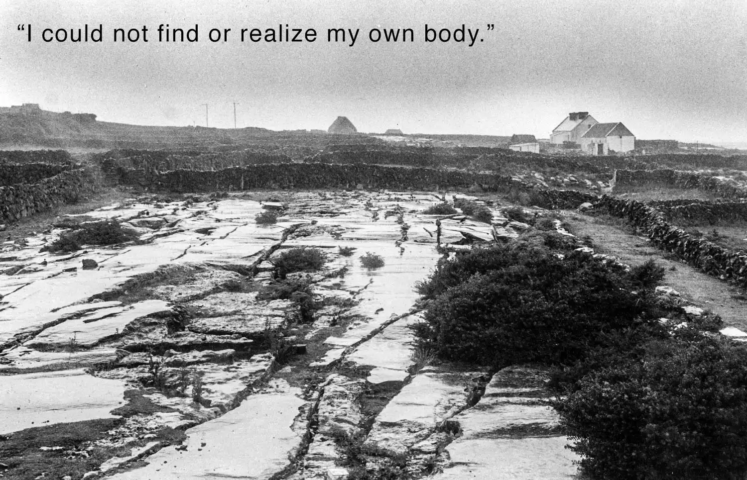 Grayscale landscape of a blanketed with snow inscribed with 'I could not find or realize my own body.'