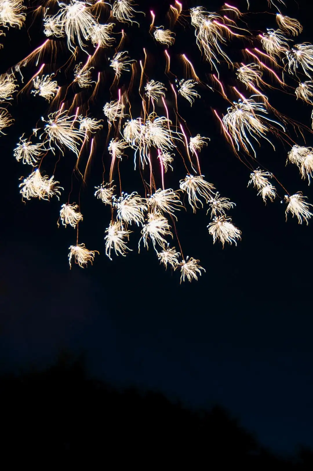 Dozens of exploding fireworks filling a night sky