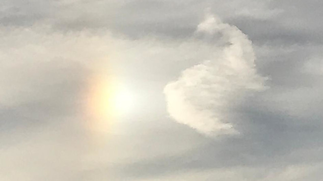 Thumbnail of a wind blown clouds.